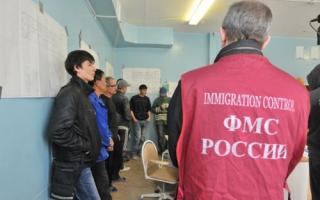 How to check the deportation of foreign citizens?